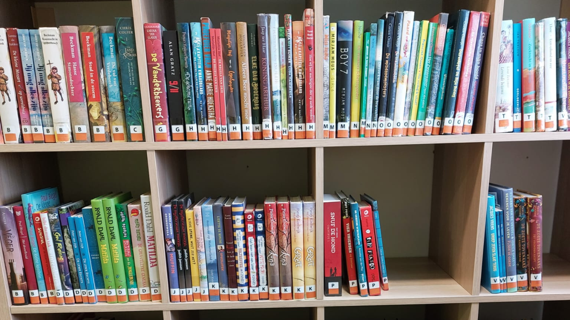 Choosing the Best Book Labels for Your School Library